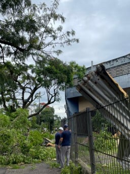 Mais de 3 mil árvores caíram em Porto Alegre no temporal de janeiro de 2024